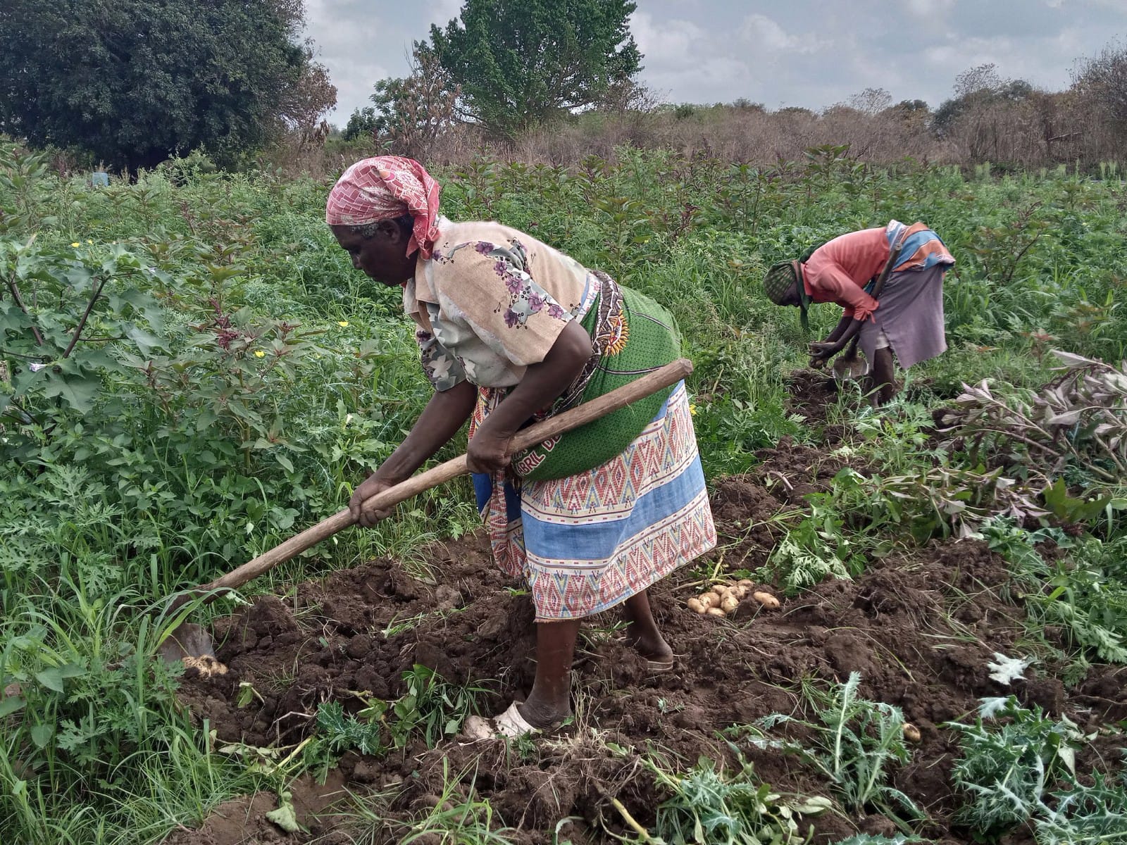 WhatsApp Image 2025-02-25 at 13.52.33